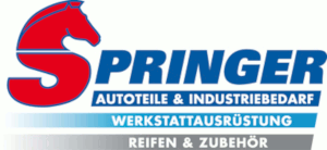 Hellmut Springer GmbH Co. KG